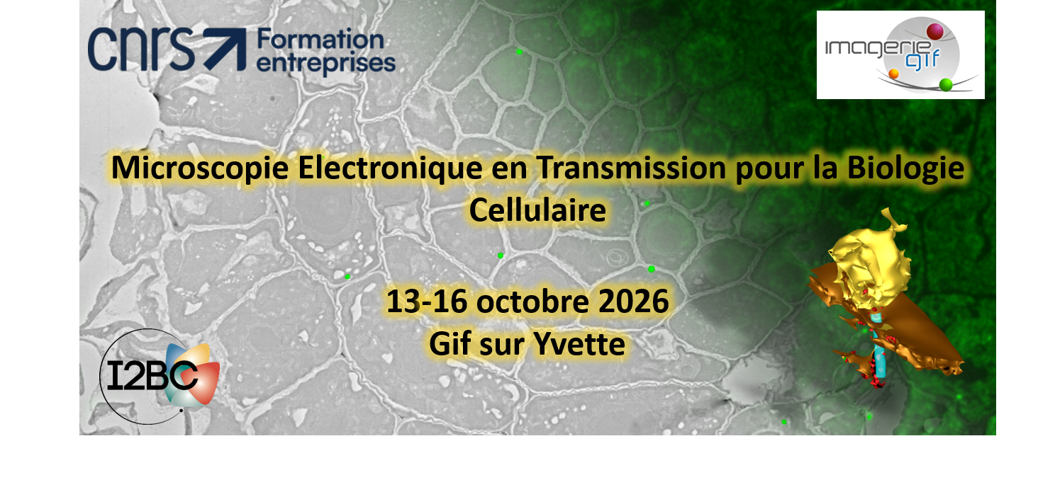Cours MET I2BC Octobre 2026 cours-MET-I2BC-octobre-2026